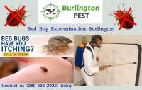 Pest Control Burlington image 4